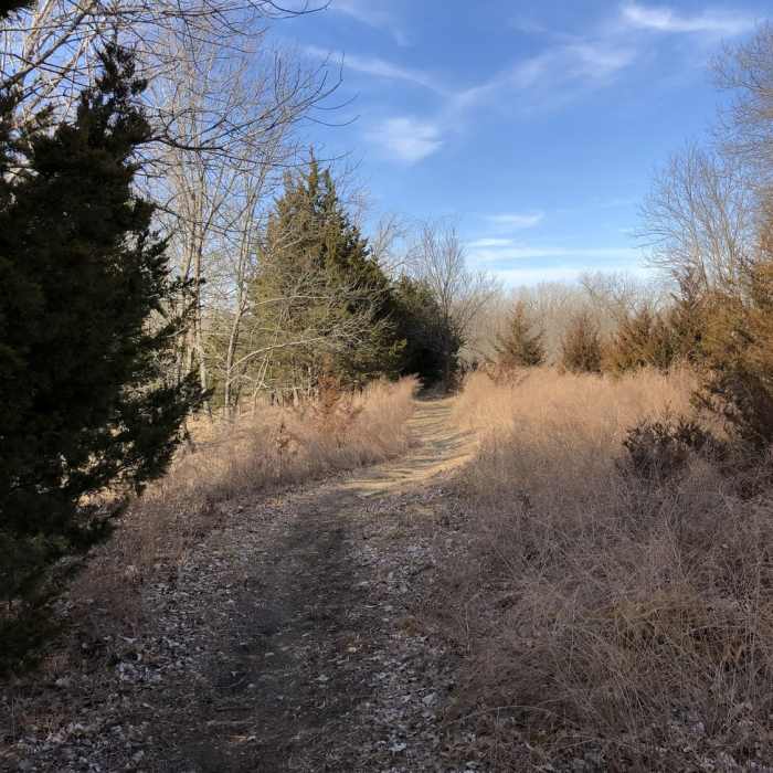 Entrance to the river trail Near Main Line