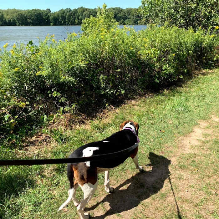 Near Potato Creek Loop