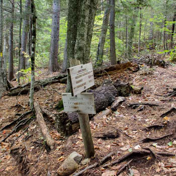 Near Hedgehog Mountain Near Hedgehog Mountain