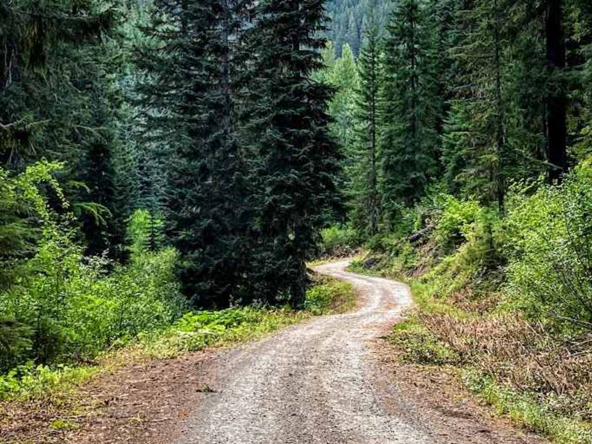 Gale Creek - FS 4948 trail photo