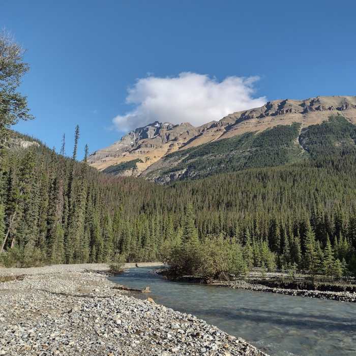 Near Alexandra River Trail