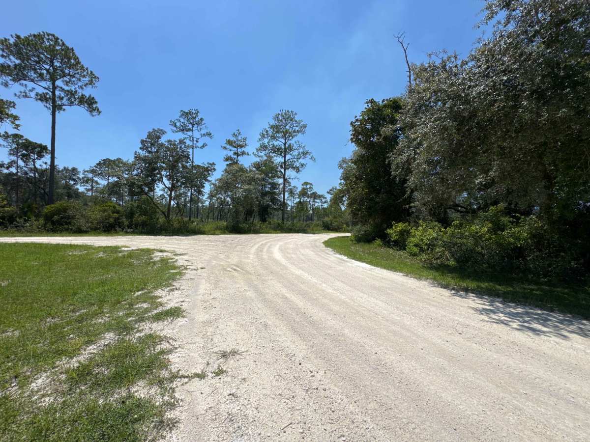 Rattlesnake Camp Road photo 5