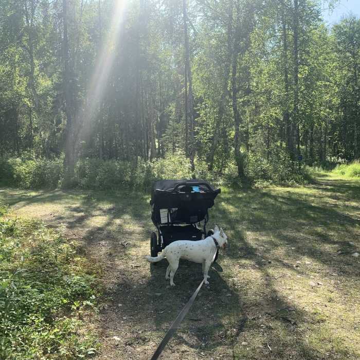 Near Otter Loop
