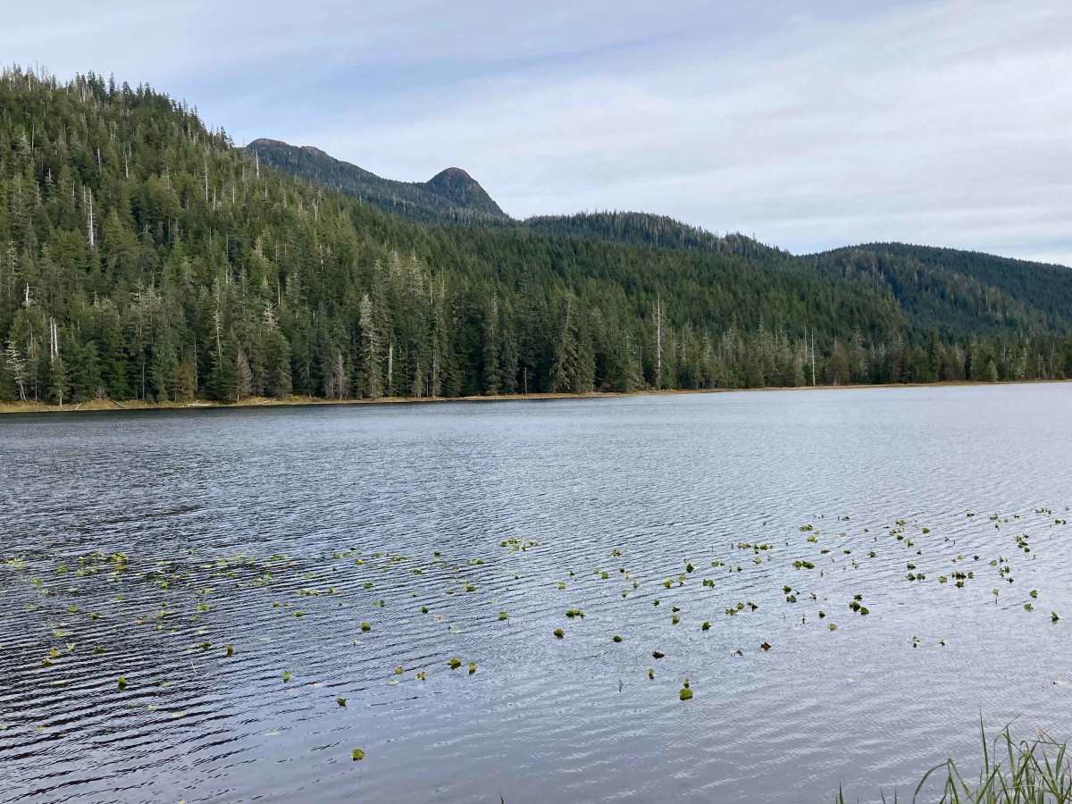 Twin Island Lake - FS 2700000 photo 3