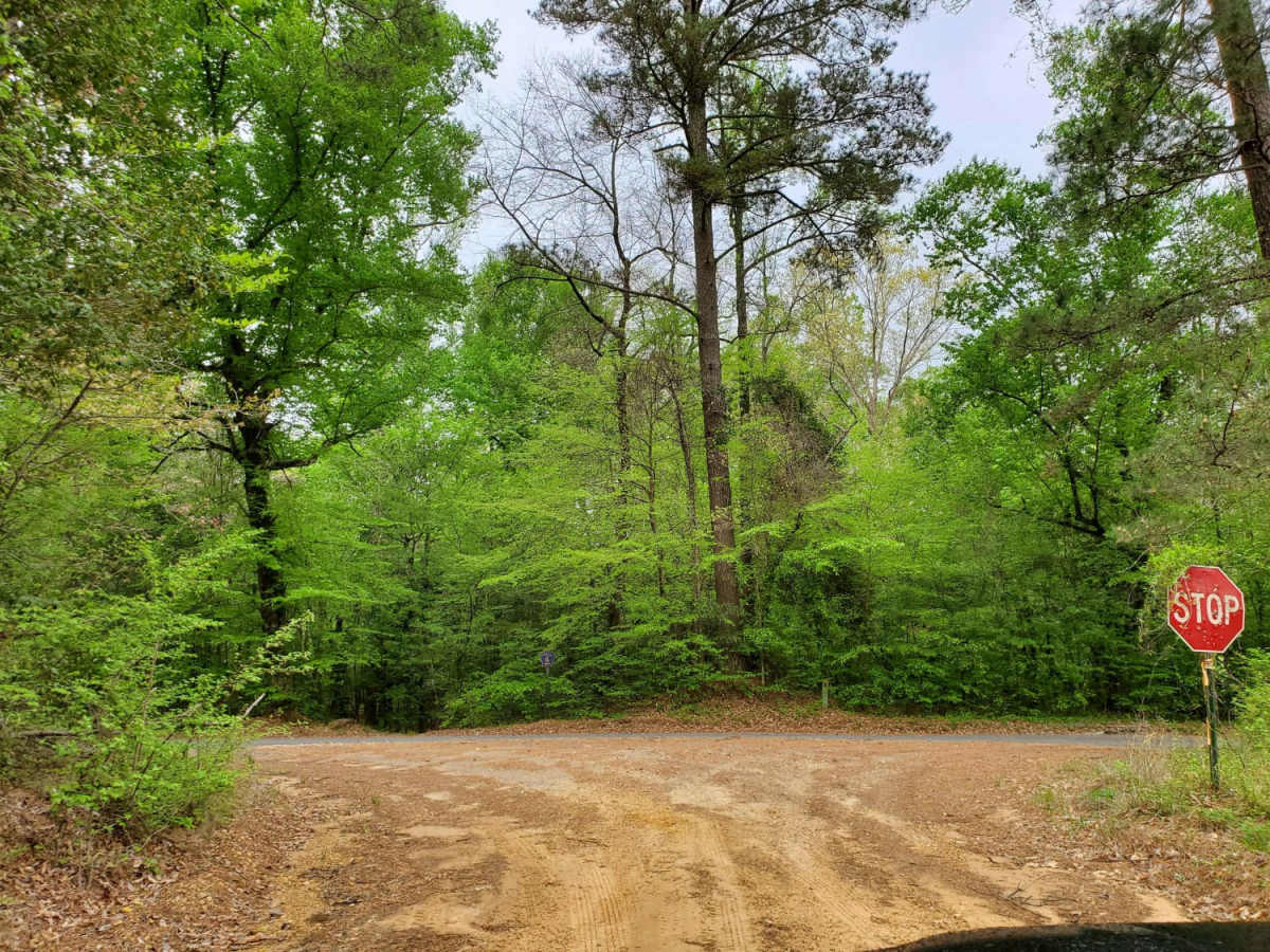 The Arkansas Overland Route - Section 5 - Highway 76 to Highway 278 photo 6