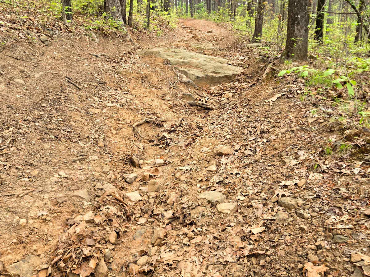 Upper Campbell photo 5