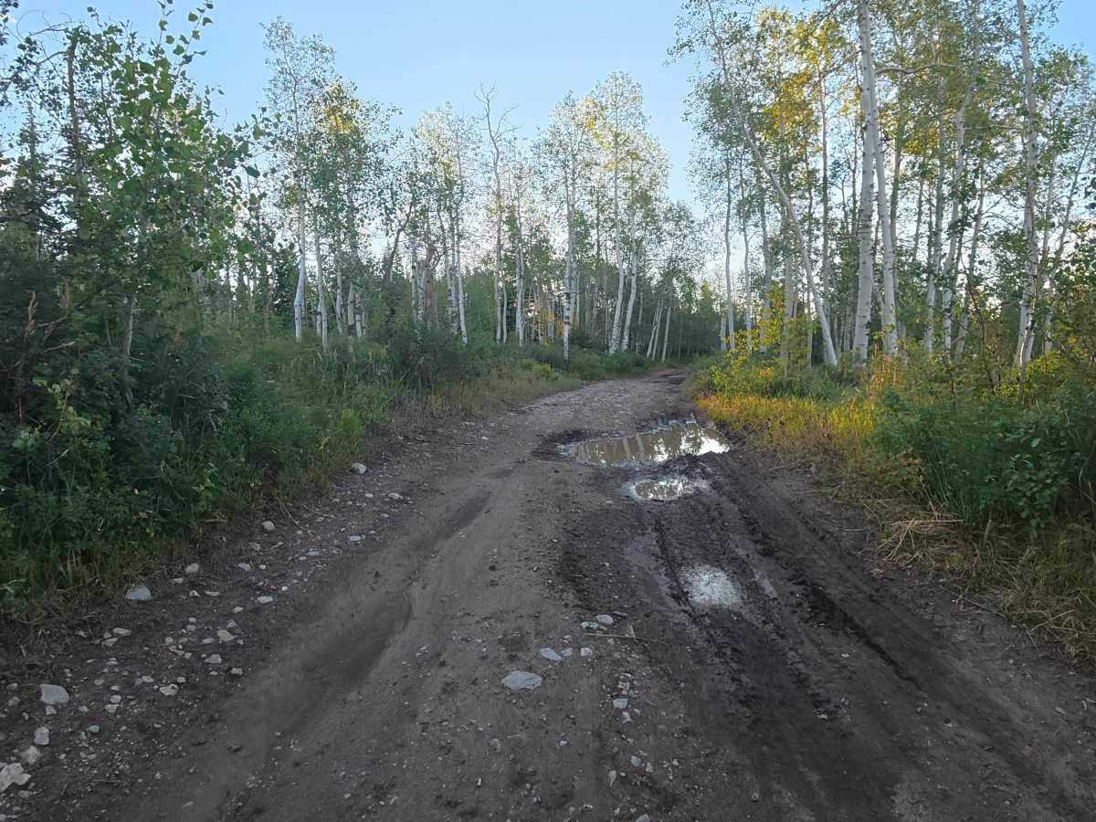Homestead Road trail photo