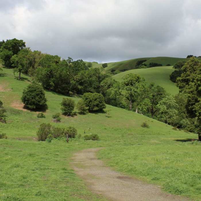 Near Springhill to Lafayette Ridge to Briones Crest to Sunrise to Buckeye