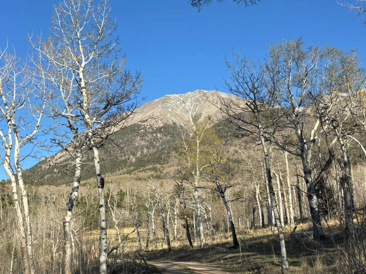Mount Shavano - Aspen Cutoff photo 4