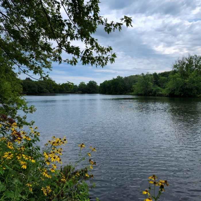 Near Hiking Club Trail (Wildwood Loop)