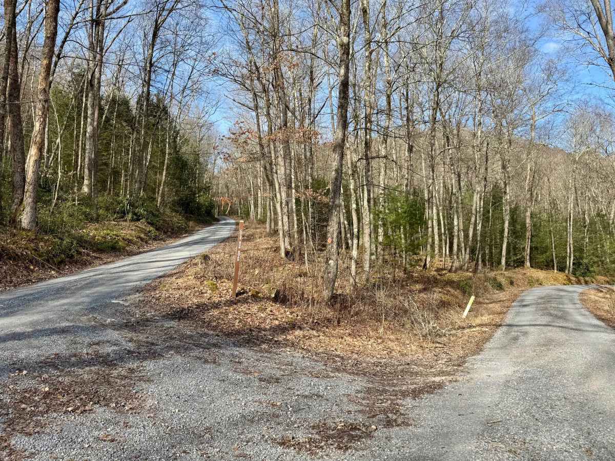 Cole Run Road trail photo