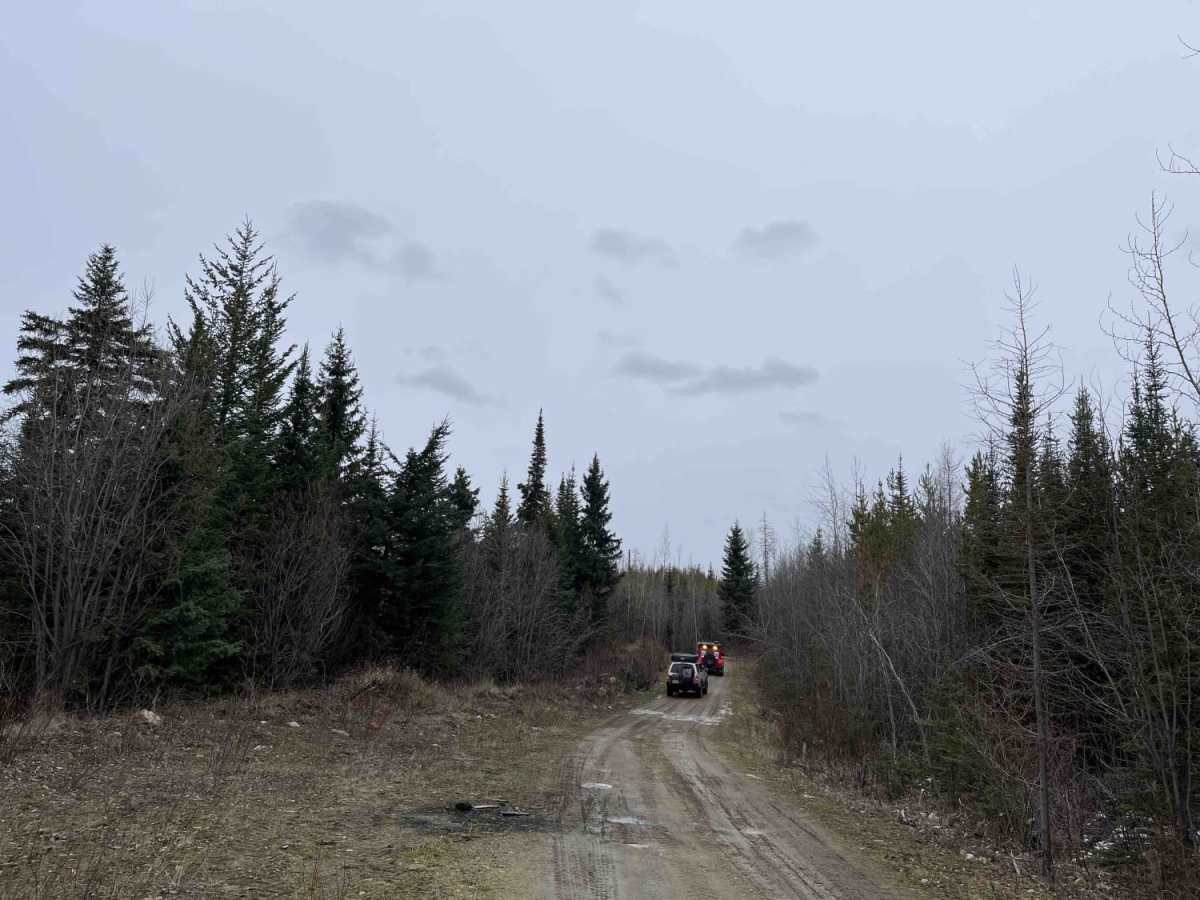 Edwin Lakes Road photo 3