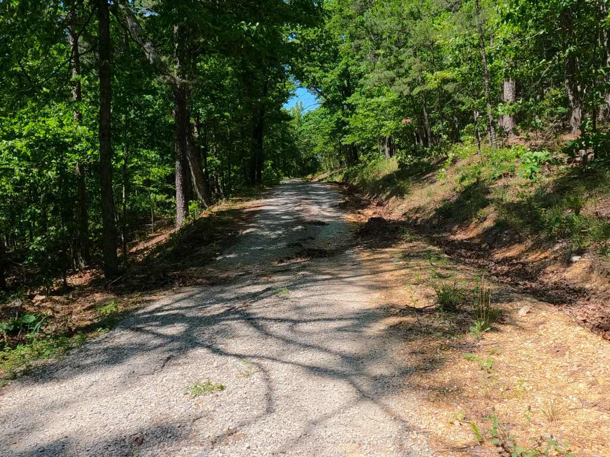 Malady Hollow - FS 3776 photo 4