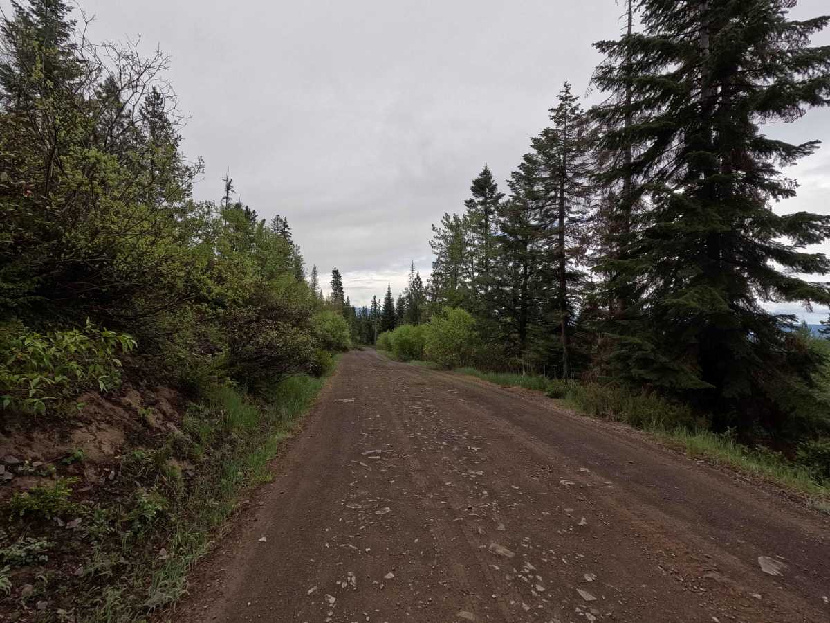 Crampton Road - FS 3120 photo 4