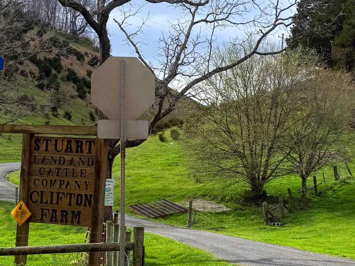 Clifton Farm Road  trail photo