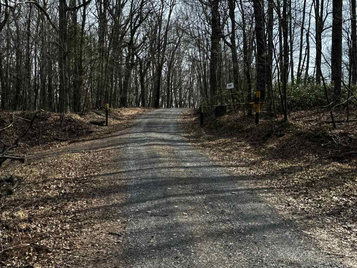 Crabapple Run Road photo 3