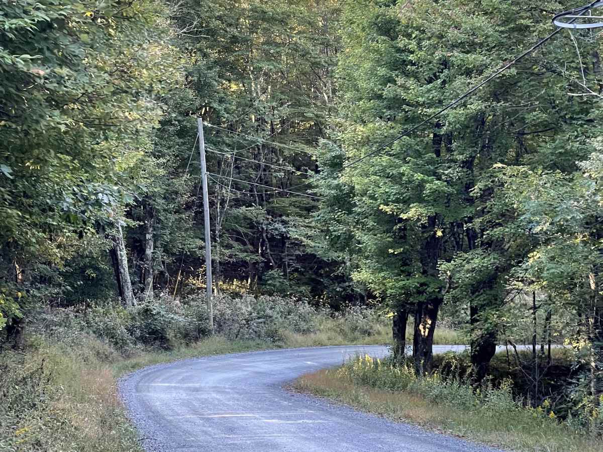 Andy Hicks Road trail photo