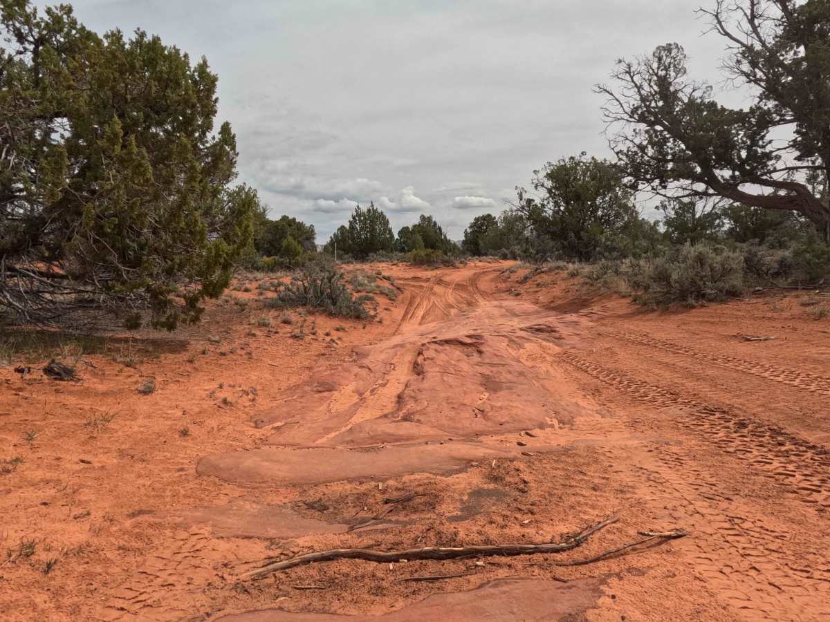 BLM 64J trail photo