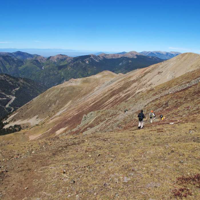 Near Wheeler Peak Trail #90