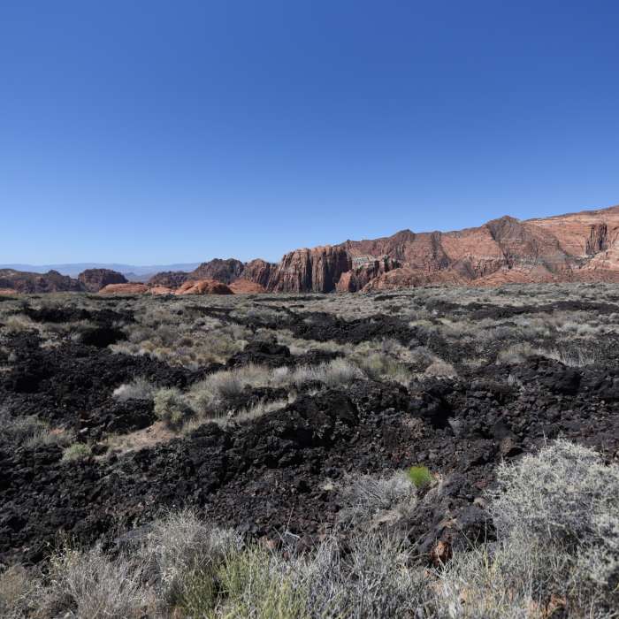 Near Lava Flow Trail