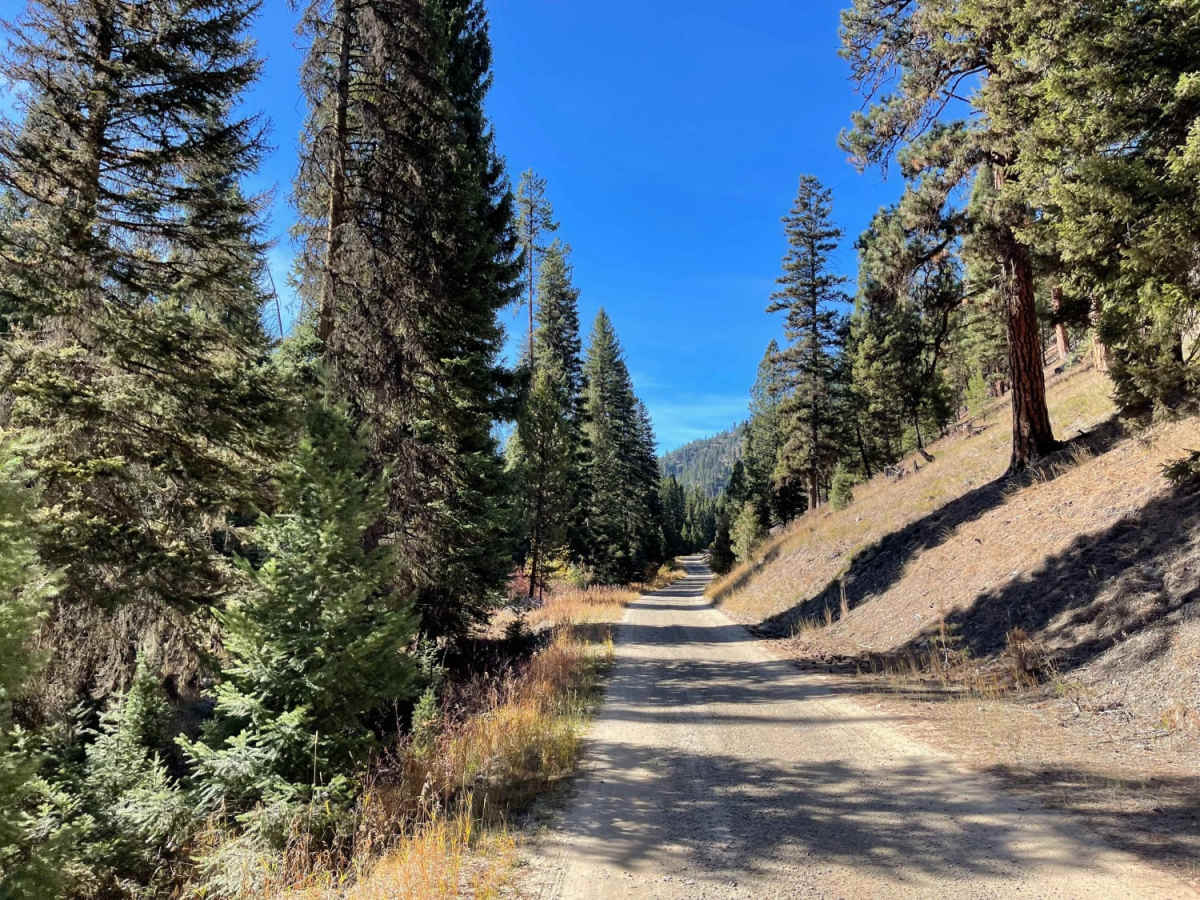 Wood Creek photo 2