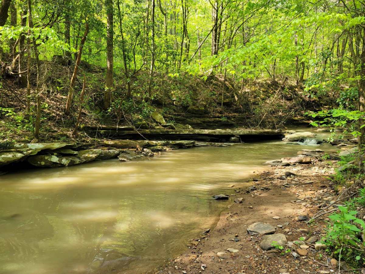Trail 27 -  Kener Gap trail photo