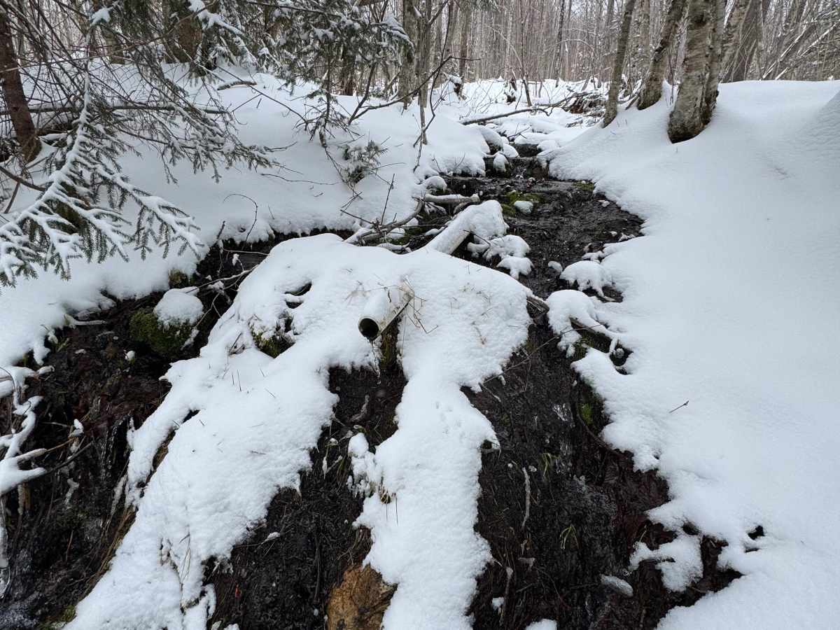 North Pond Road  photo 5