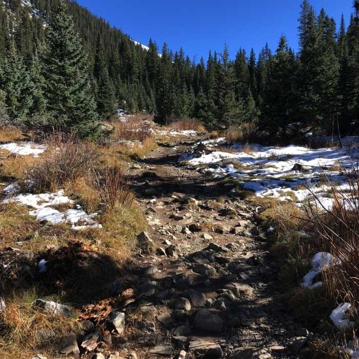 Near Williams Lake Trail #62