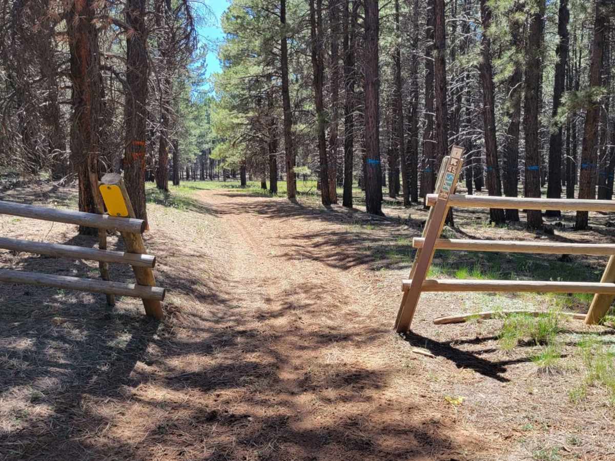 Uinta Loop 1 trail photo