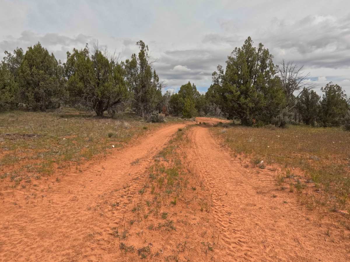 BLM 64X photo 5
