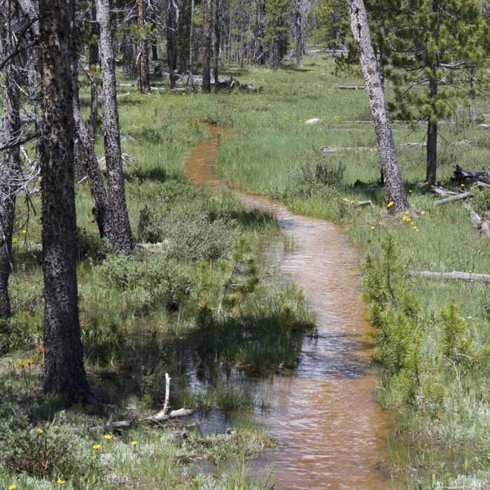 Near Bull Moose Creek