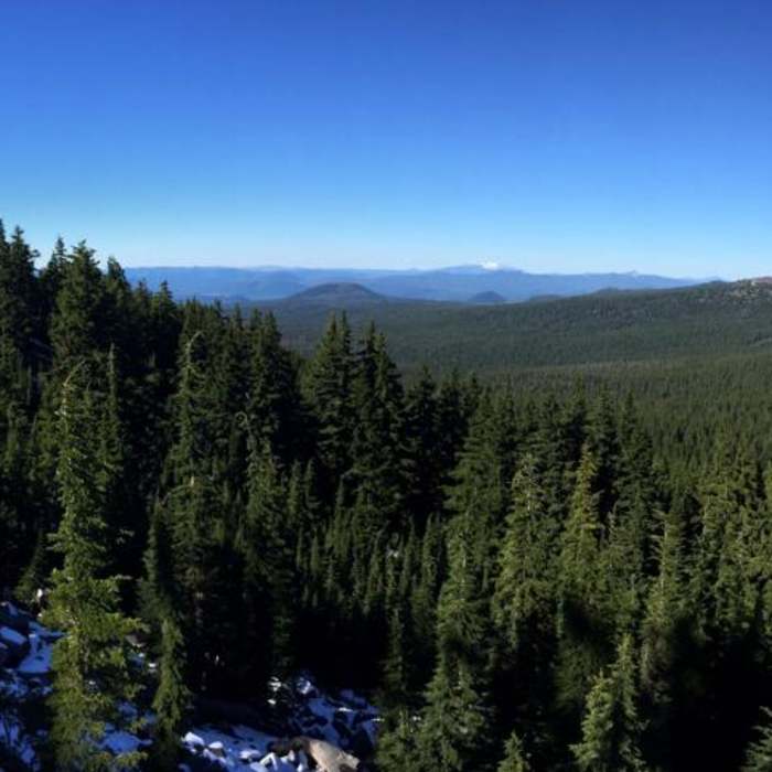 Near Pacific Crest Trail: Oregon Section D -- Highway 138 to Highway 58 (near Willamette Pass)