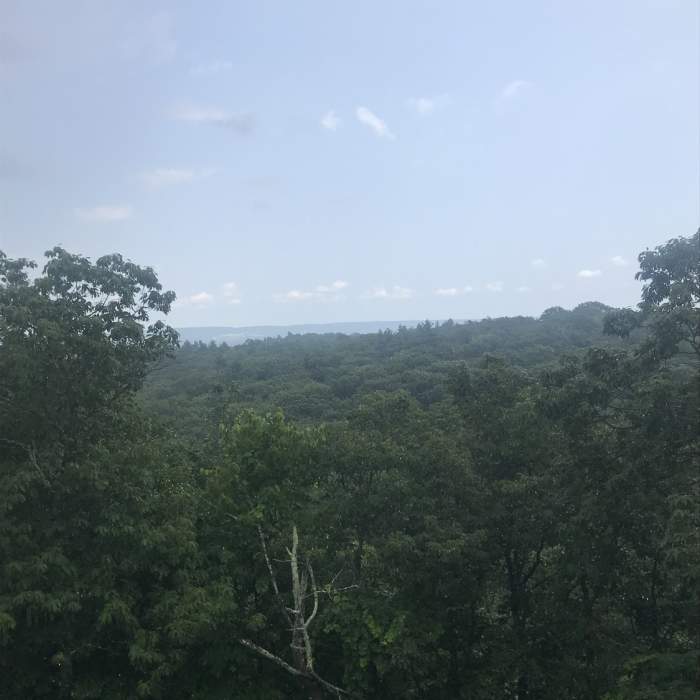 Near Blue Trail
