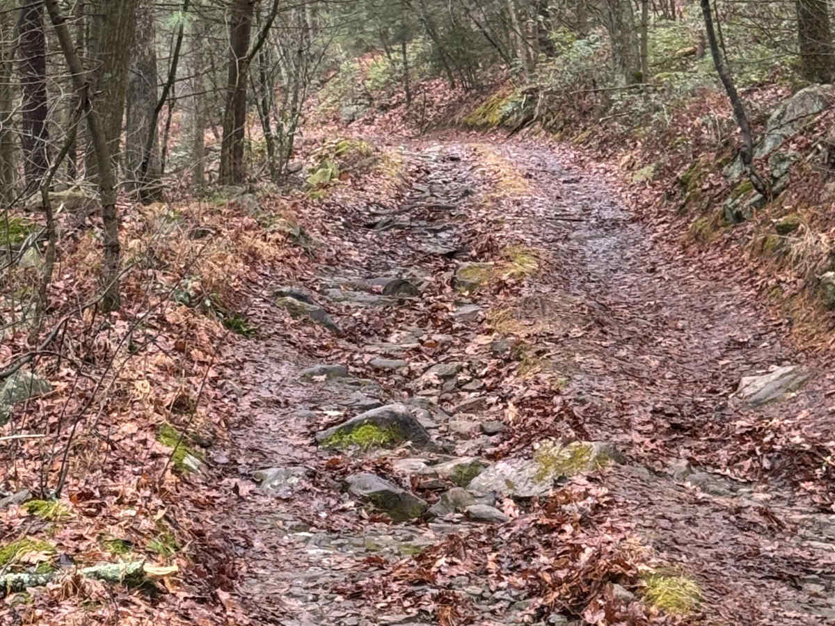 Jack's Mountain Fire Trail photo 4