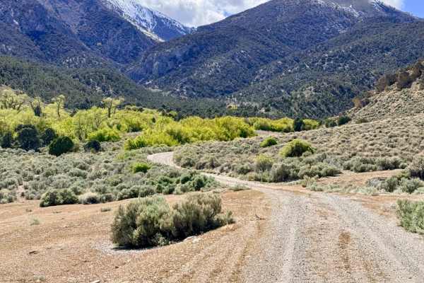 Bowman Creek FS43307