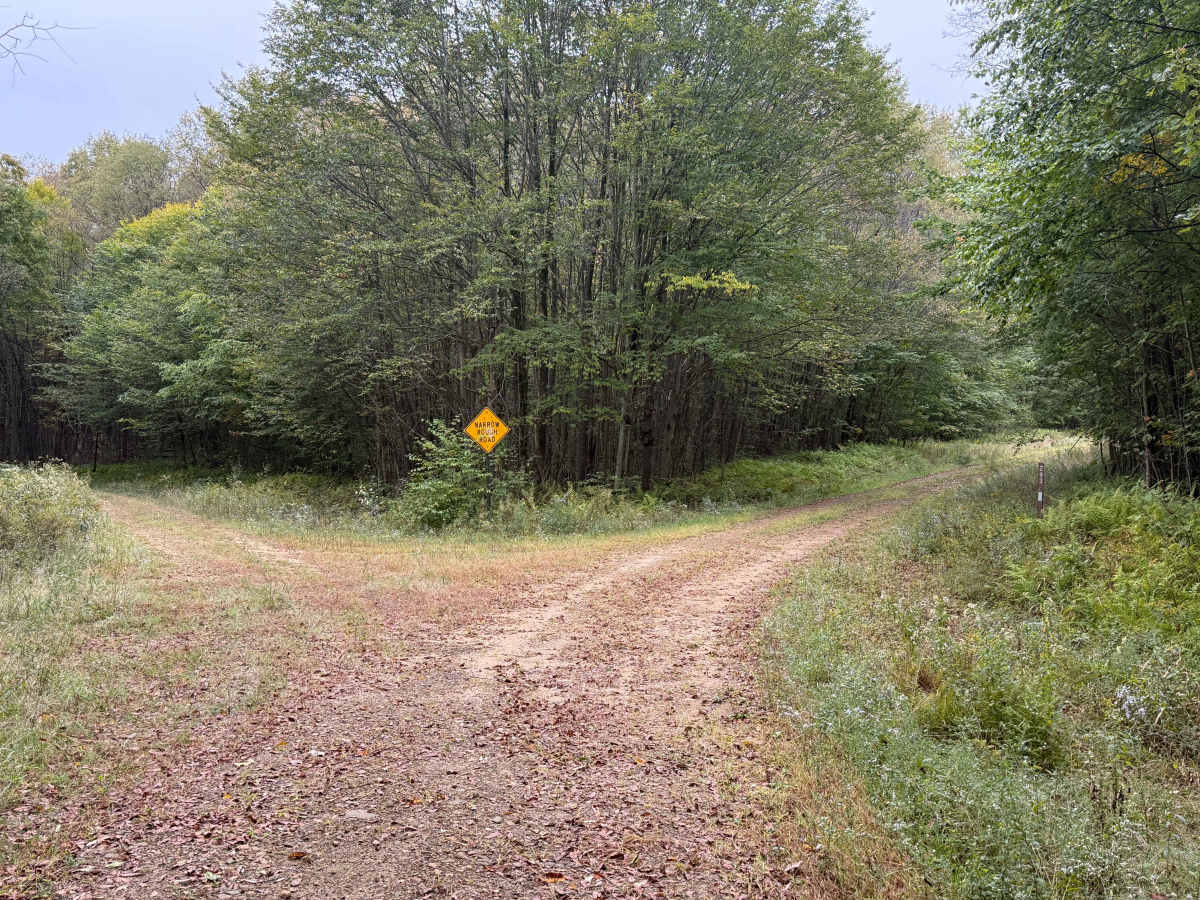 North Branch - FS 293 photo 6