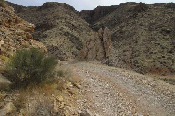 Antelope/Honeymoon Trail (North)