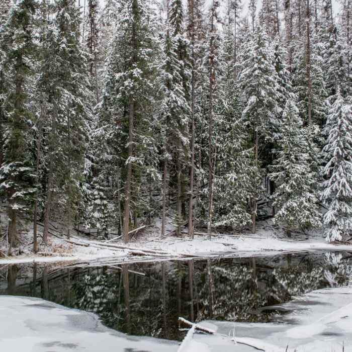 Near Stewardship Trail Near Stewardship Trail