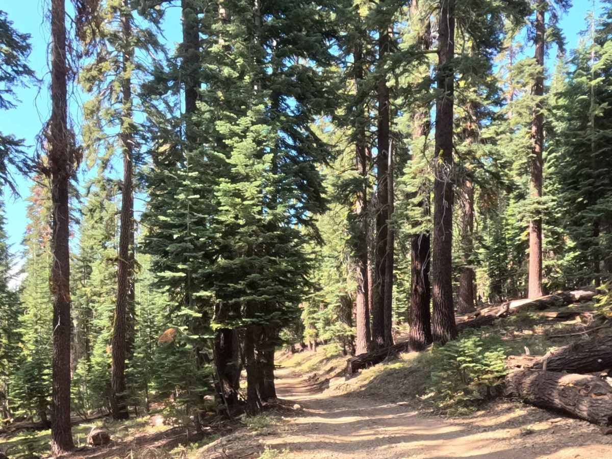 Iron Mountain - FS 5S092 photo 4