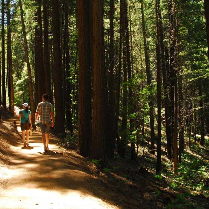Near Castle Crags Dome Hike