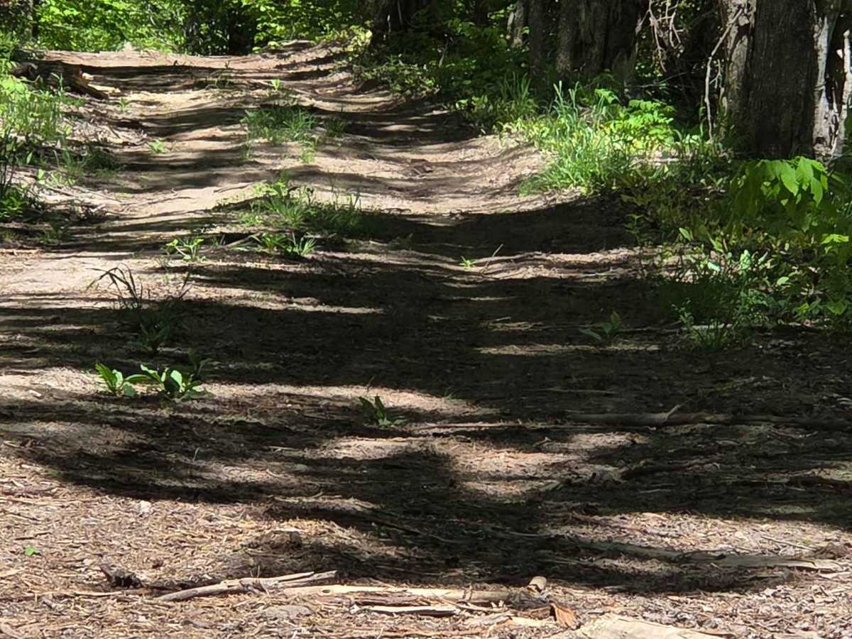 Wilber Hill photo 2