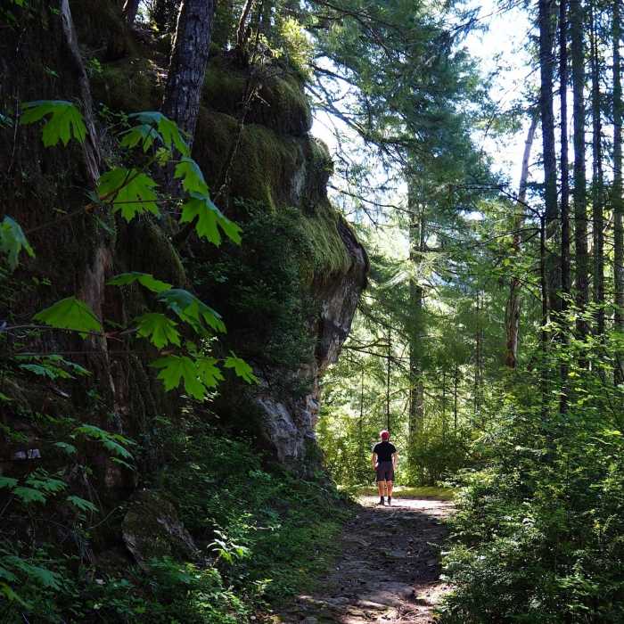 On the long-abandoned road that is now the trail Near Upper Silver and Golden Falls Trail