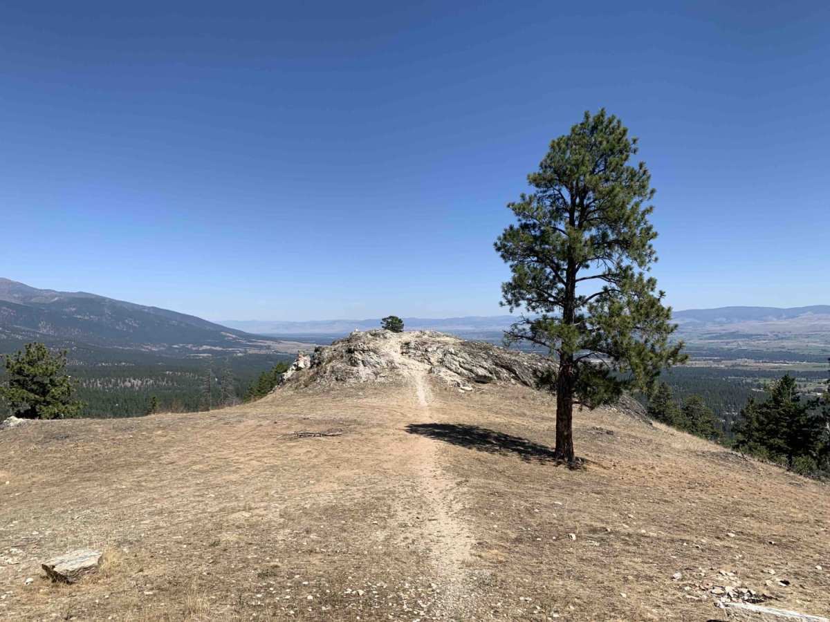 Cow Creek Road and Shiefman Hiking Trail photo 6