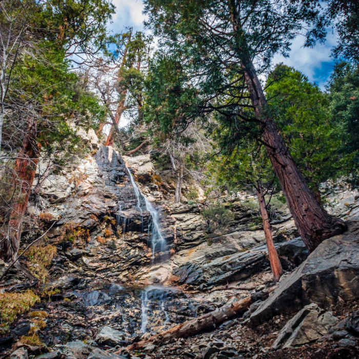 Near Vivian Creek Trail