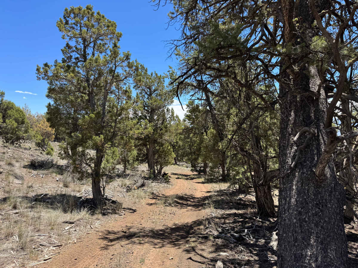 BLM 8472 trail photo