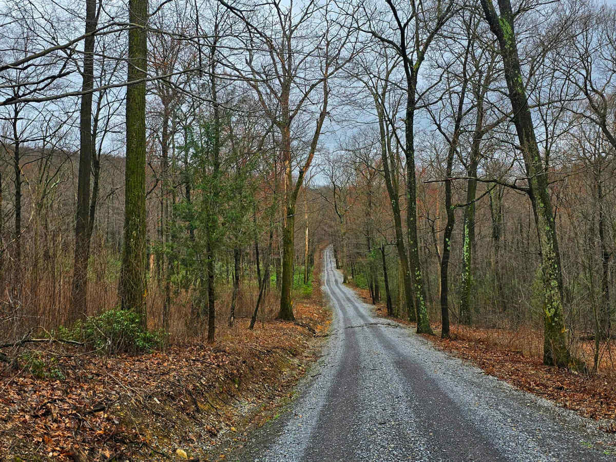 Meadows Road photo 6