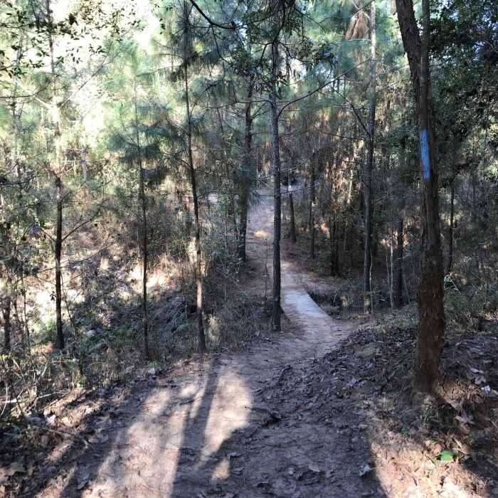 Near Spring Creek Nature Trail: Creekside to Rob Fleming Section