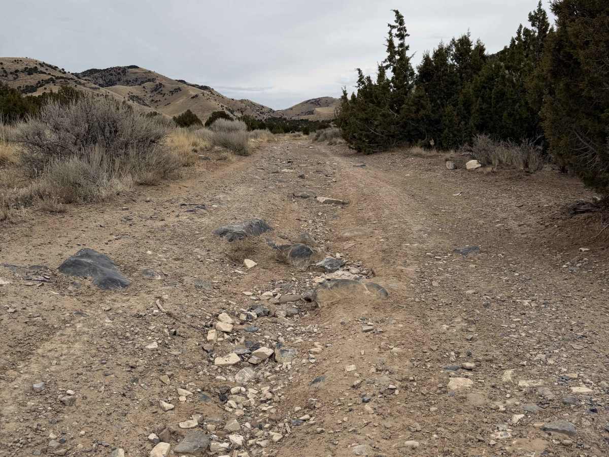 Long Juab Canyon photo 6