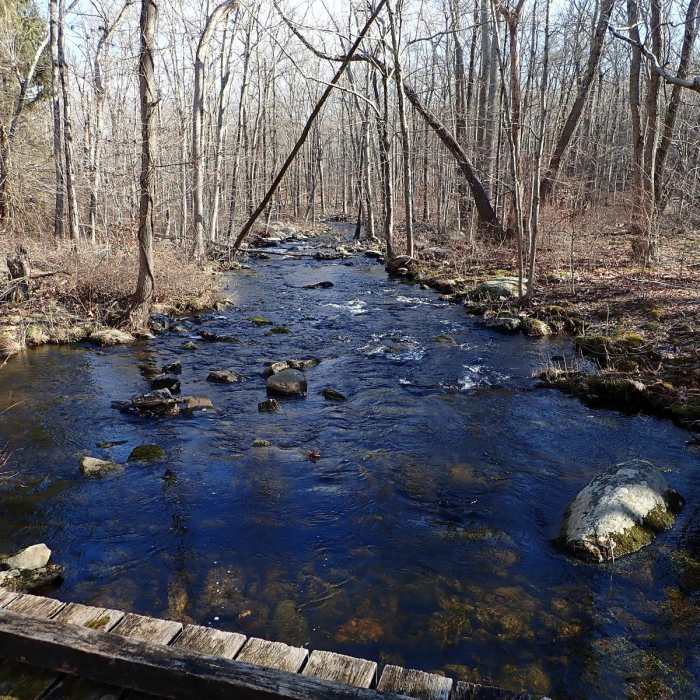 Near Black Mountain and Silvermine Lake loop