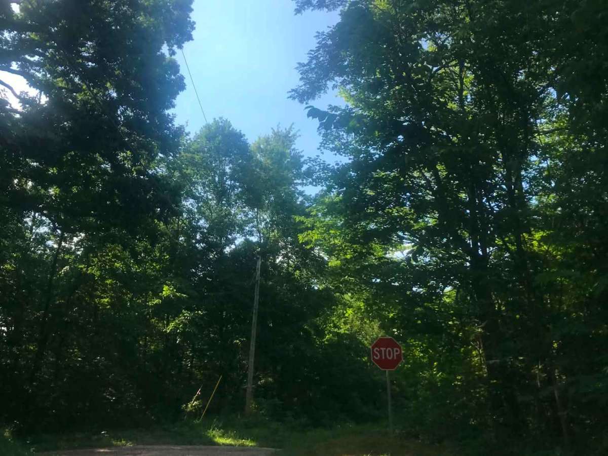 Town Highway 319 trail photo